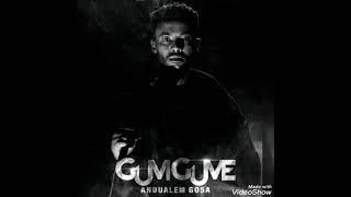 new oromoo music 2022 andualem gosa
