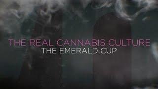 The Real Cannabis Culture