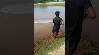 Amazing netfishi video