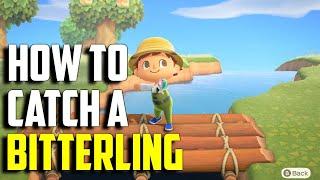 How to Catch a Bitterling | Bitterling ACNH | Bitterling Animal Crossing New Horizons | ACNH Fish