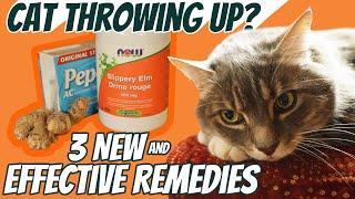 Cat Throwing Up? 3 Fast Acting Home Remedies