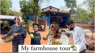 My Farmhouse tour l Pankaj Patil