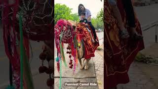 Funniest Camel Ride ..#funniestvideo #funniestanimals #kidsfunnyshorts #kidsfunnyvideos #funnykids