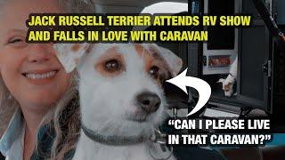 Jack Russell falls in love with RV