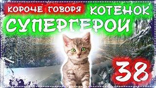 КОРОЧЕ ГОВОРЯ КОТЕНОК СУПЕР ГЕРОЙ 38 [От первого лица] Бездомный котенок Лайки - история одной жизни