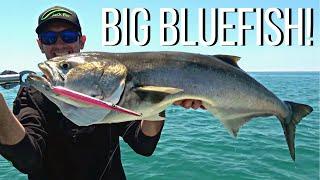 BIG BLUEFISH with Fioretto Speciale Needlefish Rod X Jack Fin + Stylo 210 Limited Edition