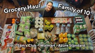 Large Family Grocery Haul ~ Organic and Dairy-Free