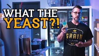 Are My Yeast Choices Basic???  Journey with me to the end of the yeast bay.