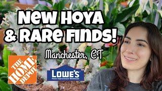 NEW HOYA & RARE PLANT FINDS!!  Home Depot & Lowe's Plant Shopping in Manchester, CT 