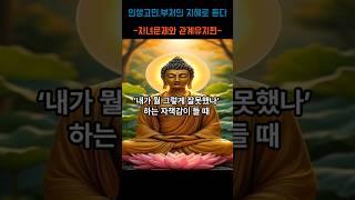 인생고민 부처님의 지혜로 듣다-자녀문제와 관계유지편- 제10화 내가 뭘 그렇게 잘못했나 하는 자책감이들때 #부처님말씀 #명언 #자기수행  #부처님가르침  #긍정적마인드 #인생조언