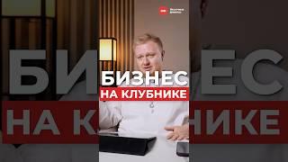 КЛУБНИЧНЫЙ бизнес на авито?! Звучит вкусно, а как на деле? #бизнес #авито