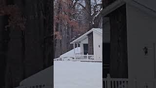 Tree Growing Through House #popular #amazing #tree