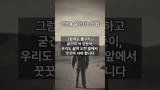 인생을 살아가는 방법 지혜의비밀#명언 #오디오북 #감동 #철학 #지혜 #쇼츠 #인생조언