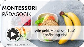 Wie geht Montessori auf Ernährung ein? [Österreichische Montessori-Akademie | Montessori-Ausbildung]