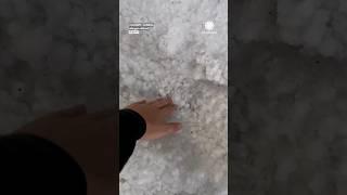 That's some HAIL! (Calgary, Alberta)