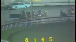 1978 Meadowlands Pace