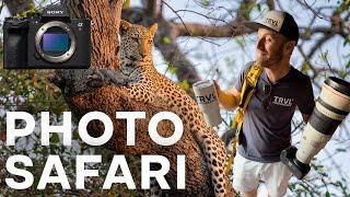 On Safari in Botswana