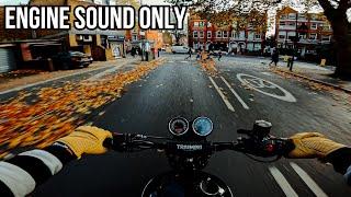 Autumn Ride | TRIUMPH SCRAMBLER 900 | POV RAW SOUND [4K]