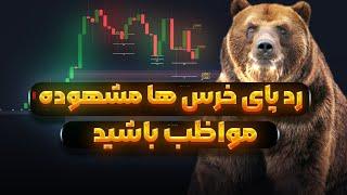 بیت کوین آماده صعود آیا پایان رکود نزدیک است | خرس ها | نهنگ ها