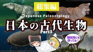 【睡眠用・ゆっくり解説】日本の古代生物 Part3　デスモスチルス/ニホンオオカミ/福井県　など【途中広告なし】