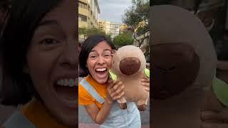 Christina  su #capibara #capibaradeleste #capibaras #123andres #musicainfantil  #videosinfantiles