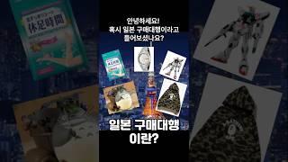 일본 구매대행 이란 들어보셨나요? 설명해드리겠습니다. #일본구매대행 #메루카리 #일본굿즈 #이슈 #일본직구 #야후옥션 #일본의류 #돈키호테