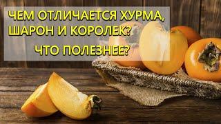 Хурма: вся правда о хурме? Чем отличается хурма, шарон и королек? Что полезнее?