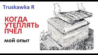 Пчёлы. Утеплять или нет... Почему плохо или хорошо. И как утеплением сформировать клуб. #TruskawkaR