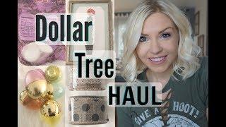 DOLLAR TREE HAUL| DOLLAR TREE FINDS I COULDN'T RESIST| Megan Navarro #DollarTreeHaul