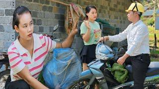 Harvesting ginger to sell at the market - Sai got angry again l Lý Thị Sai