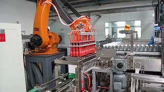 robot pick and place carton packer carton packing machine for pet bottle