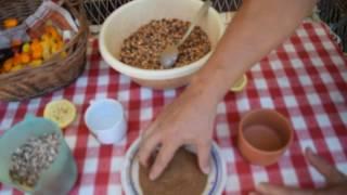 How to use Cinnamon to treat pigeons diseases ! ! !