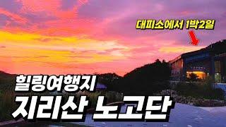 인생에서 꼭 한번 가야 하는 지리산 노고단!!!  | 등산 초보도 갈 수 있는 힐링 산행 코스