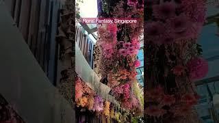 Floral Fantasy,Tourist attraction in Singapore