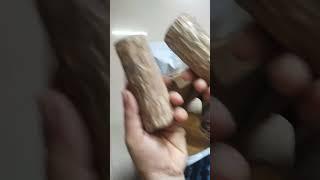 Unboxing Brazilian wood 🪵 lucky plant #homegardenplants #shortsvideo #ytshorts