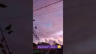 Velvet / Violet / Lavender sky color / colour