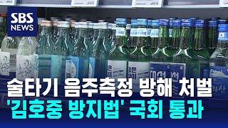 술타기 음주측정 방해 처벌 '김호중 방지법' 국회 통과 / SBS