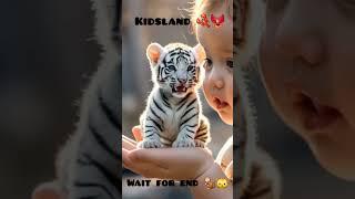 Funny animal #viralcats #youtube #viralvideo #kidsland #youtubeshort #animal #shorts