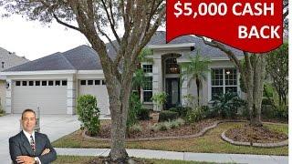 Homes for sale in Arbor Greene 18103 Sugar Brooke Dr Tampa Fl 33647