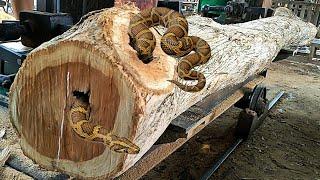 surprising discovery while sawing old teak logs full of dense fibers at the sawmill