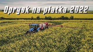 Wieczorny Oprysk Rzepaku 2022 New Holland T6  Unia Europa  3021 Zabieg na płatka 