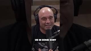 joe rogan podcast,joe rogan experience,ultimate fighting championship,joe rogan fan page,joe rogan m