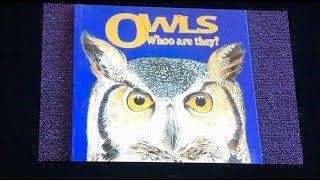 Denver Holt's Owls Spring Island Trust Talk