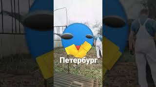 студия Петербург 2006 года лого