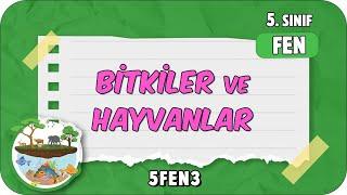 Canlılar Dünyası: Bitkiler ve Hayvanlar  tonguçCUP 1.Sezon - 5FEN3 #2024