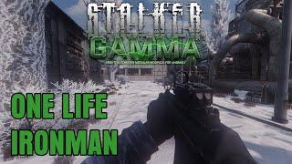 MERRY CHRISTMAS STALKERS - GAMMA 1 LIFE IRONMAN