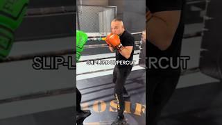 SLIP LEAD UPPERCUT #thaiboxi #motivation #basictraining #muaythai #boxinggym #fypシ゚vira #fyp #thaibo