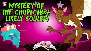 Is The Chupacabra Actually Real? | El Chupacabras | The Mysterious Creature | Halloween Monsters