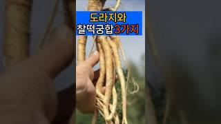 도라지와 찰떡궁합3가지! #기관지 #면역력
