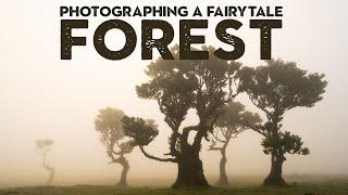 Photographing the most MAGICAL FOREST on EARTH